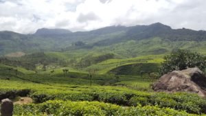 Kerala-Tour