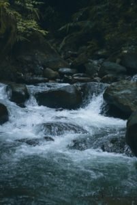 Kerala-Tour