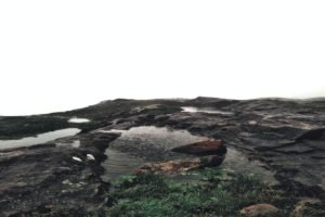 Coorg-Stay