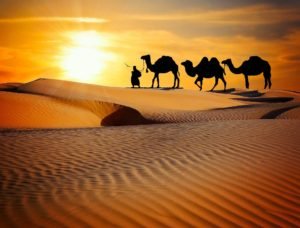 Rajasthan-Tour