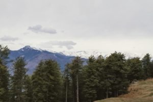 Himachal -Pradesh