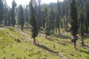 Jammu - Kashmir