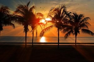 Andaman-Nicobar