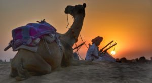 Rajasthan-Tour