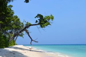 Andaman-Nicobar