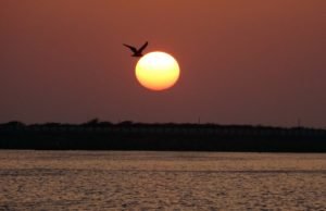 Gujrat - tour