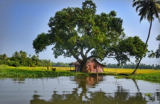 Kerala-Tour