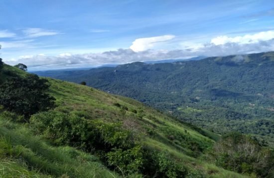 Coorg-Stay