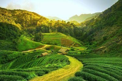 Arunachal-Pradesh