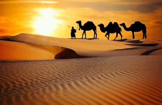 Rajasthan-Tour
