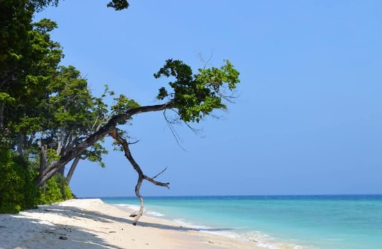 Andaman-Nicobar