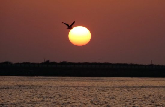 Gujrat - tour